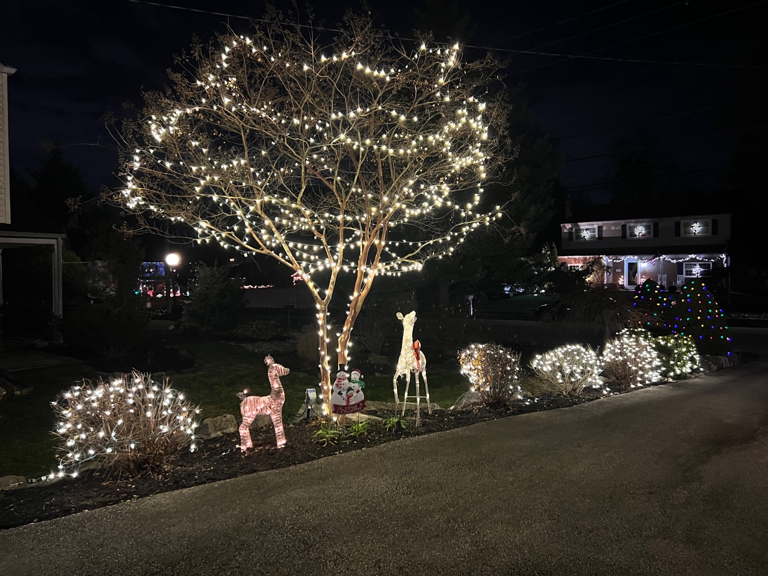 Lombardo Lights, Christmas lights in Plymouth Meeting, PA (photo 5)