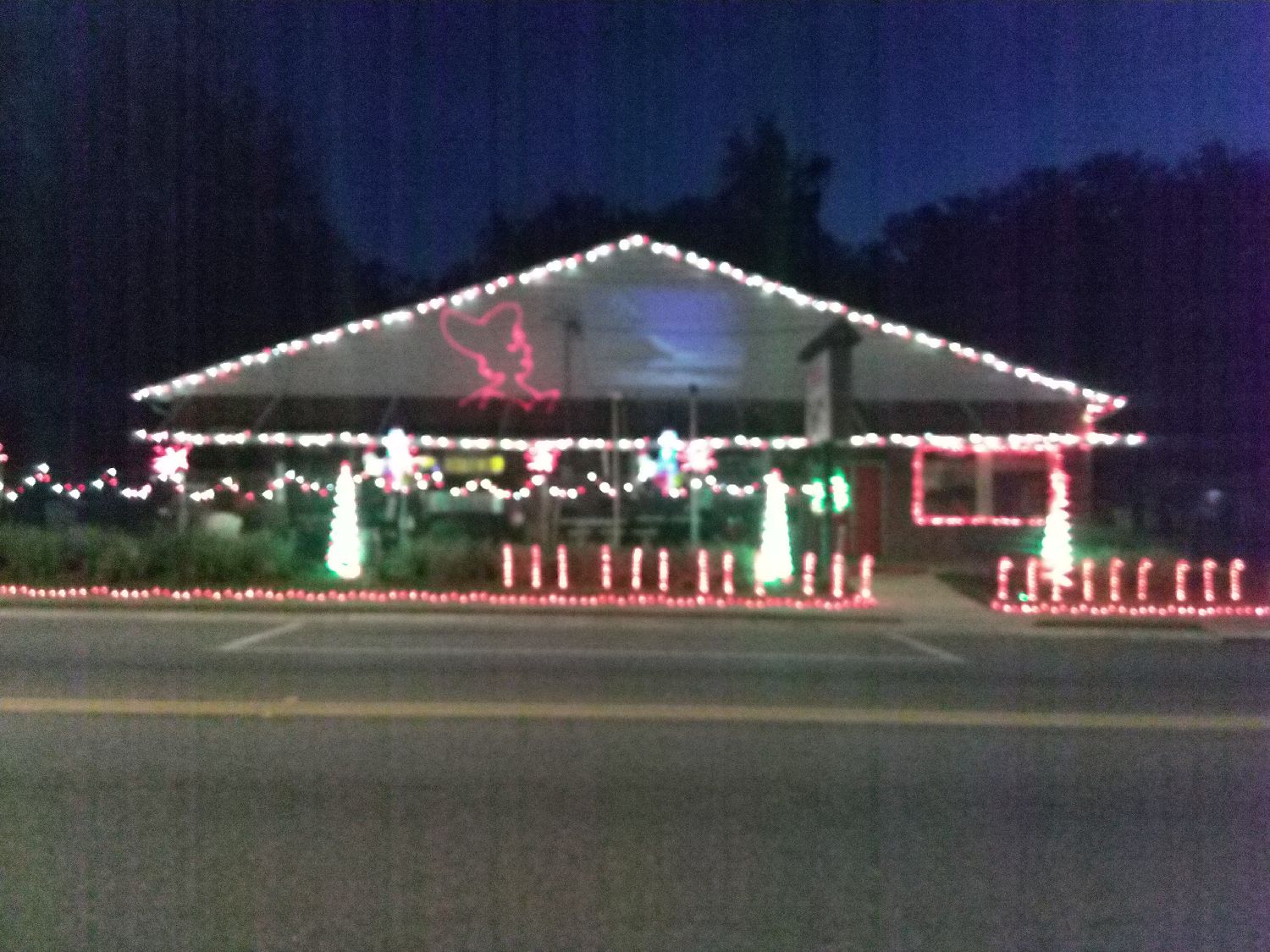 Ace the helpful place, Christmas lights in Newberry, FL (photo 1)
