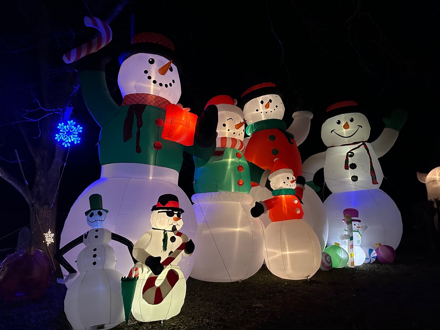 Christmas Wonderland, Christmas lights in Unadilla, GA (photo 1)