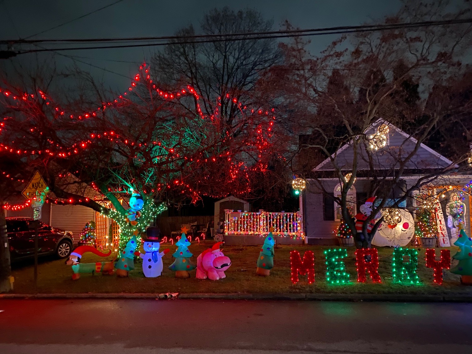 Christmas meteorite Tree and more, Christmas lights in Glenside, PA (photo 3)
