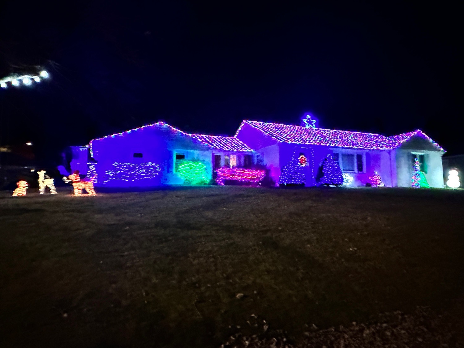 Sparky, Christmas lights in Downingtown, PA (photo 1)