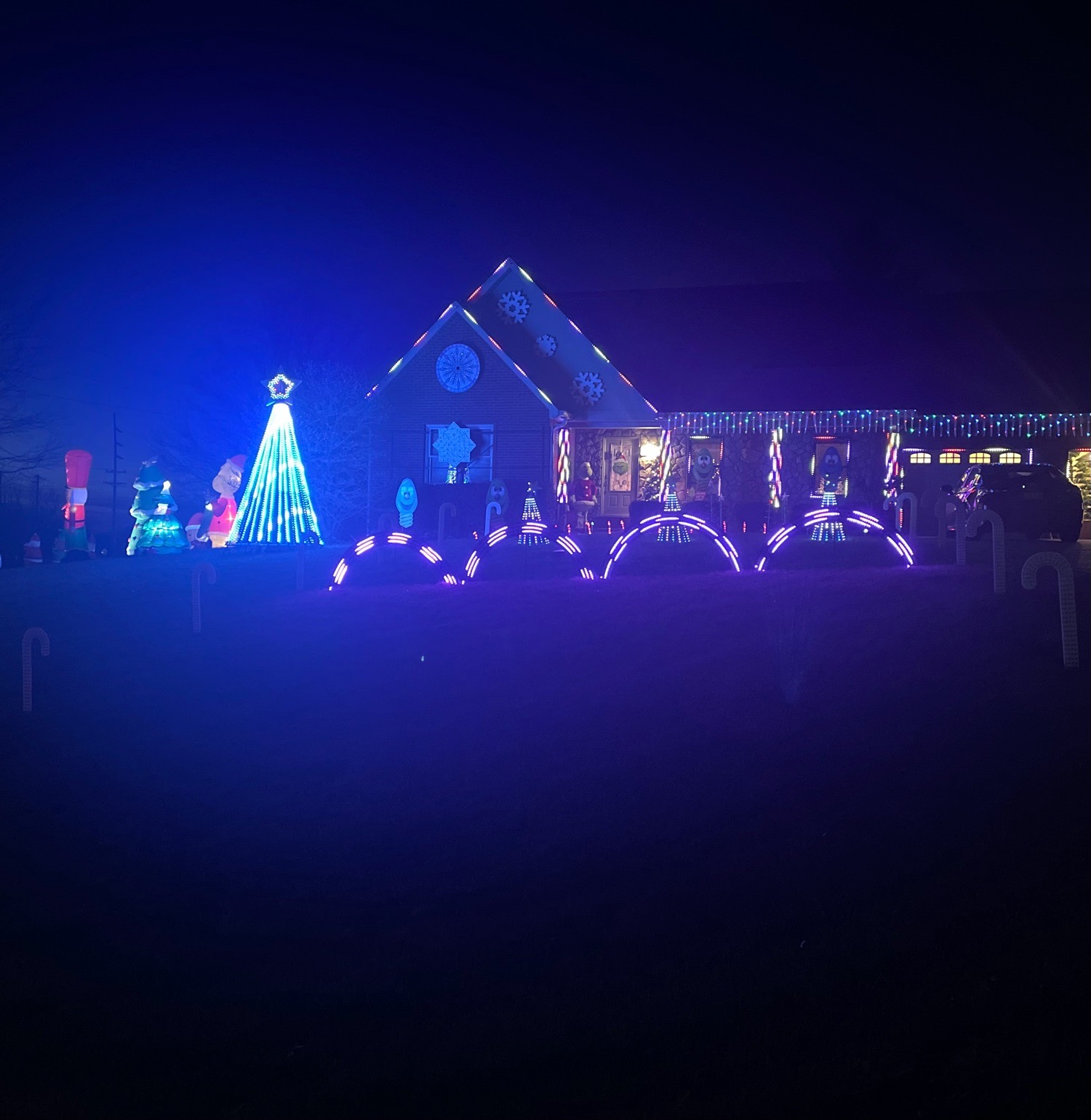 Light Up Ridgelea, Christmas lights in Williamstown, KY (photo 1)