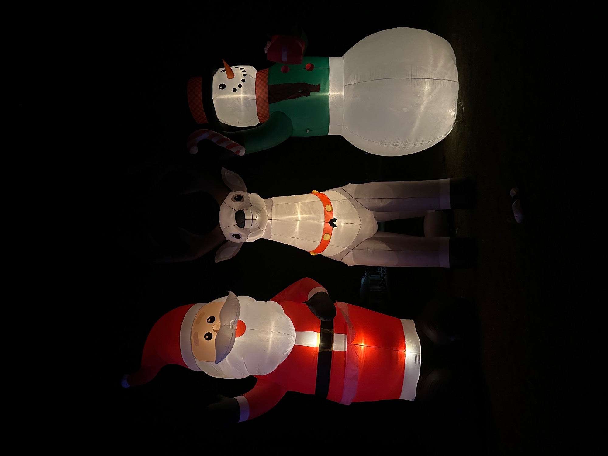 Christmas galore, Christmas lights in Unadilla, GA (photo 1)