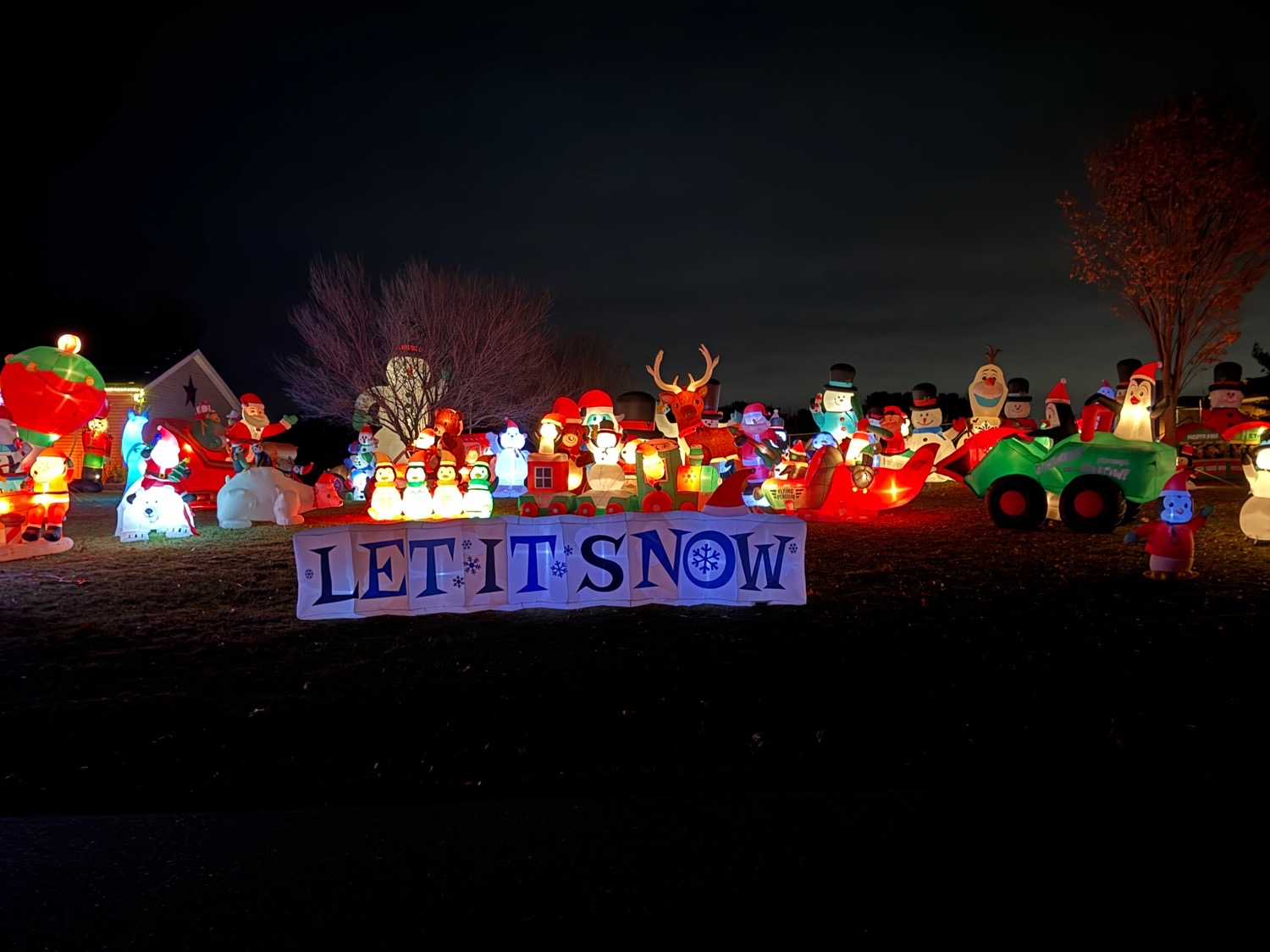 Christmas Displays To Benefit Animal Shelters & Rescues, Christmas lights in Bridgeton, NJ (photo 2)