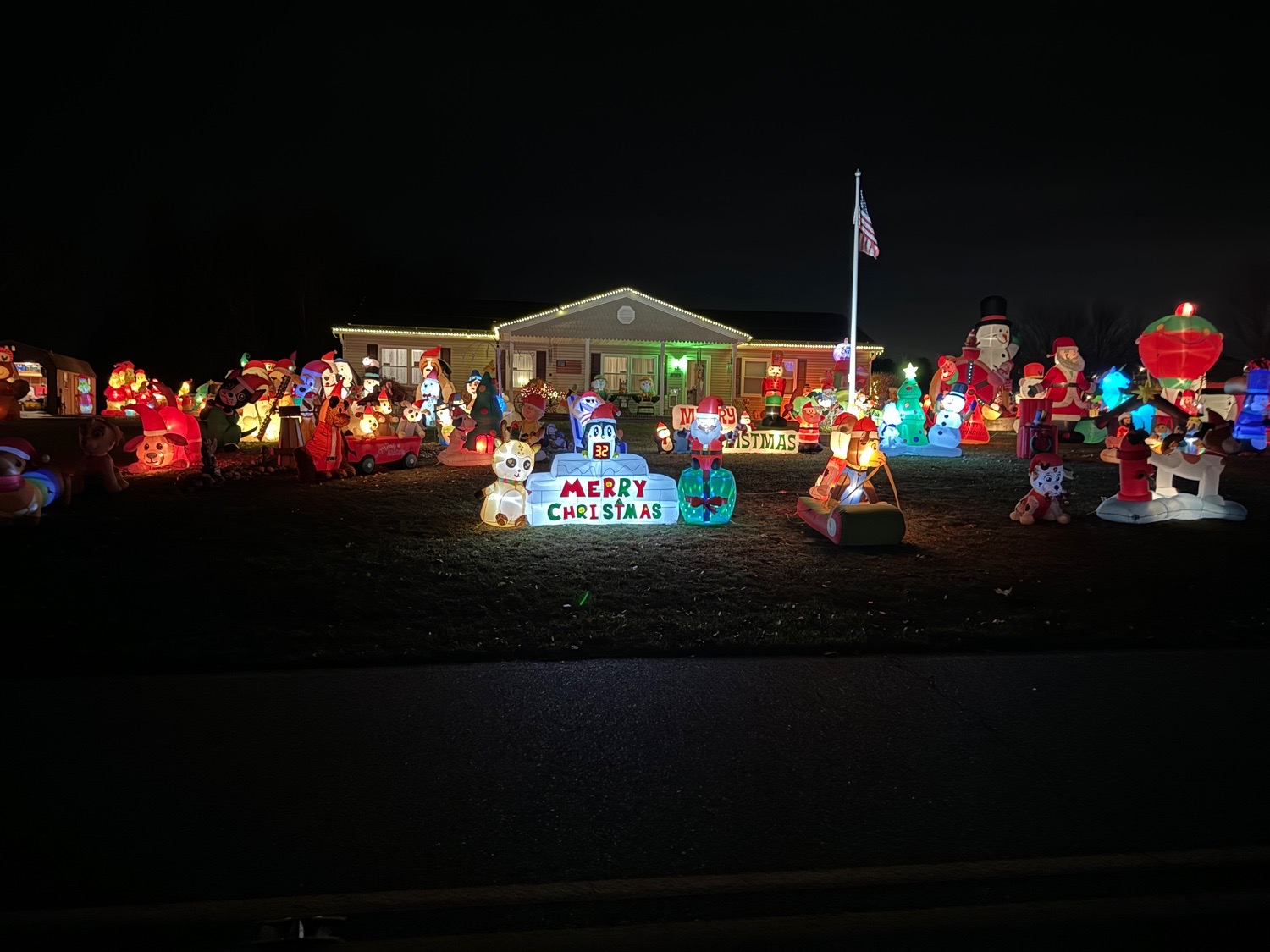 Christmas Displays To Benefit Animal Shelters & Rescues, Christmas lights in Bridgeton, NJ (photo 3)