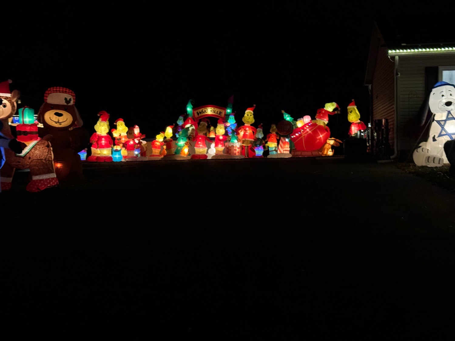 Christmas Displays To Benefit Animal Shelters & Rescues, Christmas lights in Bridgeton, NJ (photo 4)