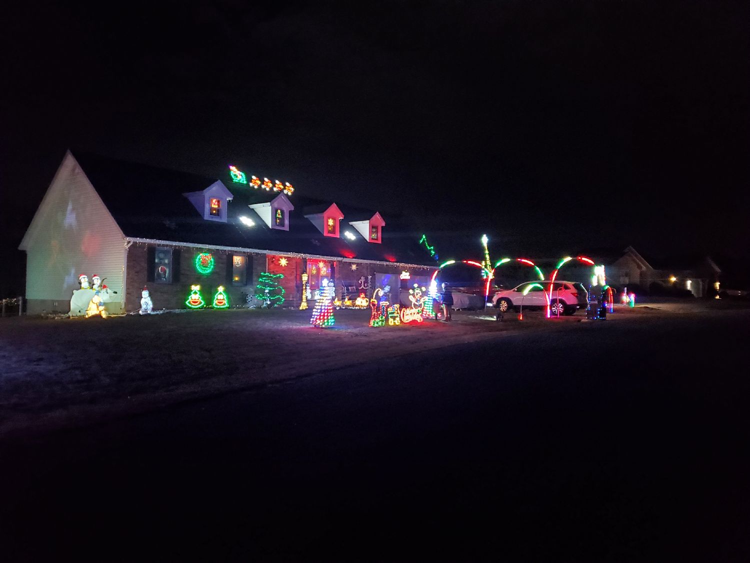 Hall Family Lights, Christmas lights in Waynesville, MO (photo 3)