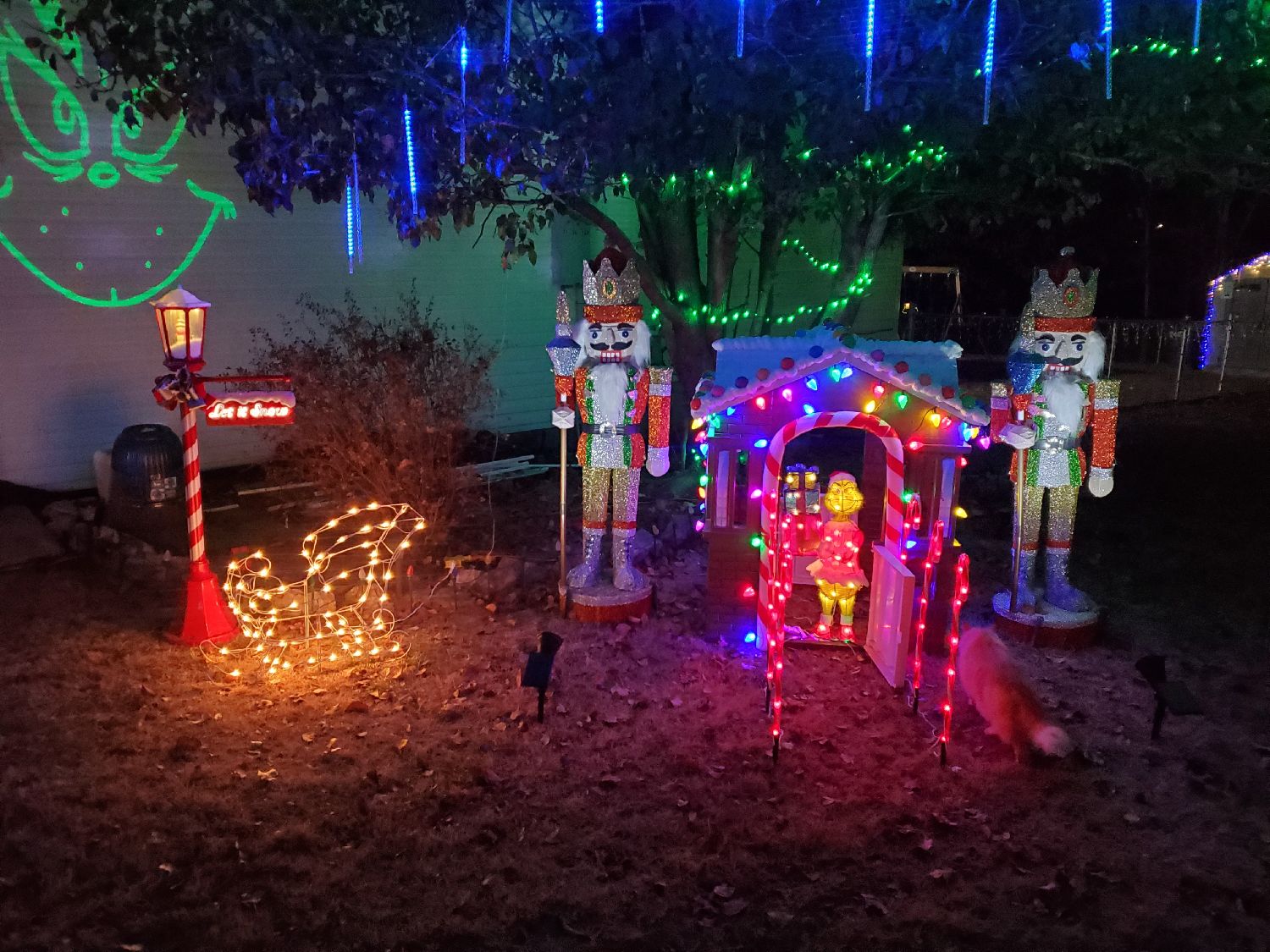 Hall Family Lights, Christmas lights in Waynesville, MO (photo 4)