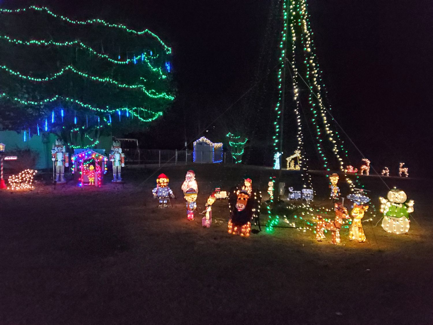 Hall Family Lights, Christmas lights in Waynesville, MO (photo 5)