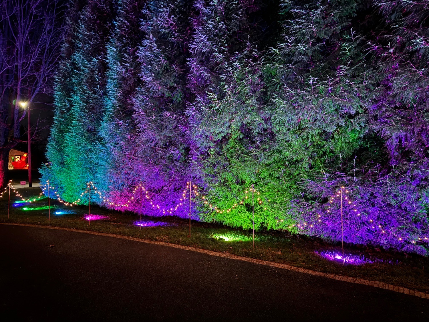 Villanova Winter Wonderland, Christmas lights in Villanova, PA (photo 3)