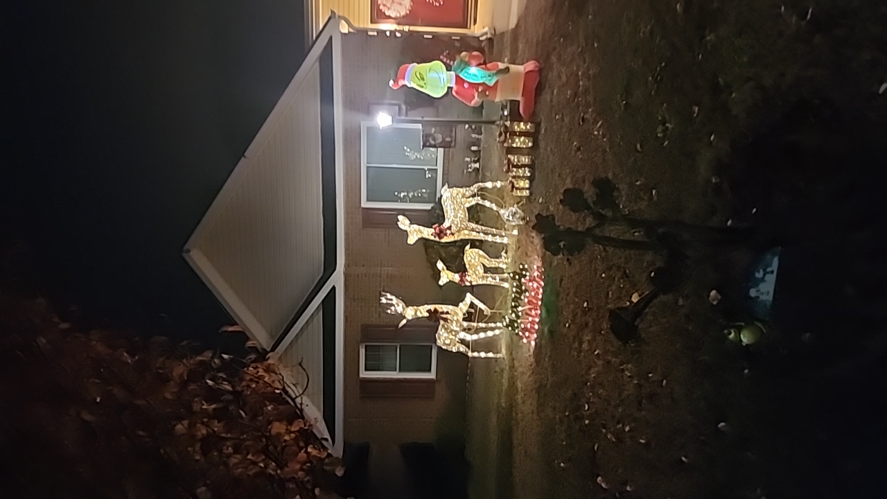 Christmas decorations, Christmas lights in Warner Robins, GA (photo 1)