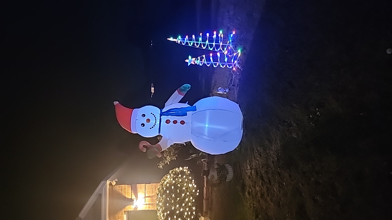 Christmas decorations, Christmas lights in Warner Robins, GA (photo 2)