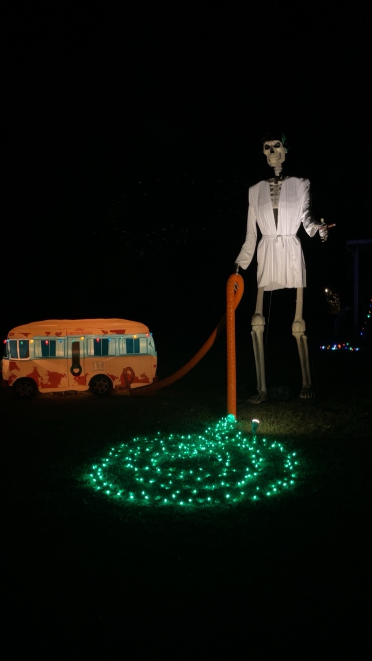 Merry Christmas from the Goodroe’s/Bowden’s on Third St., Christmas lights in Unadilla, GA (photo 1)