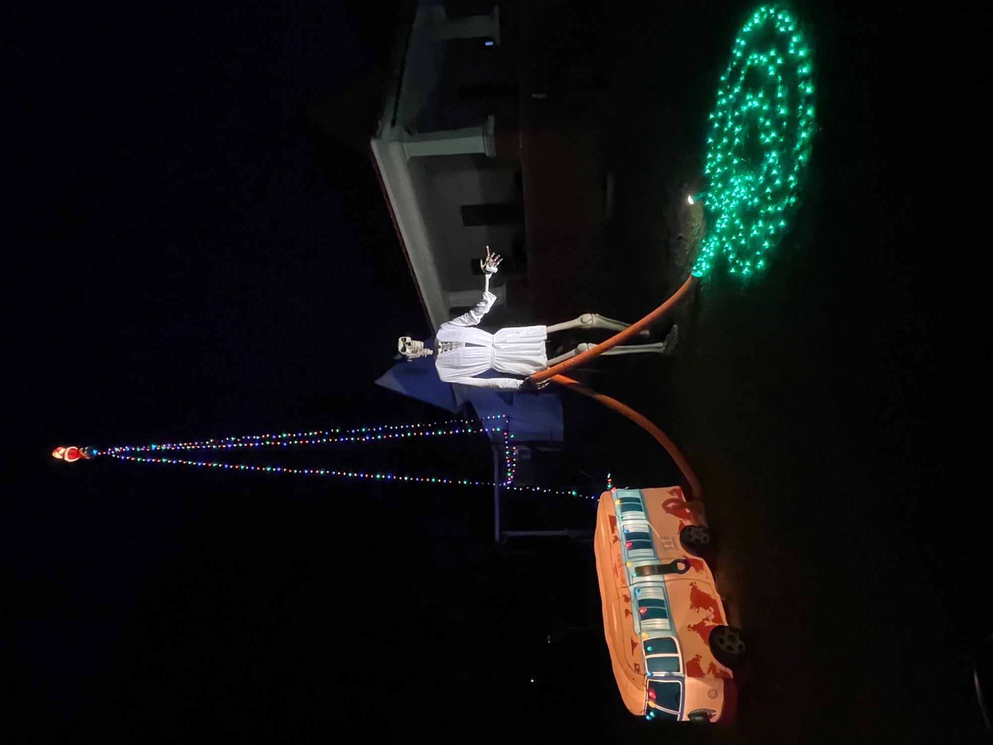 Merry Christmas from the Goodroe’s/Bowden’s on Third St., Christmas lights in Unadilla, GA (photo 2)