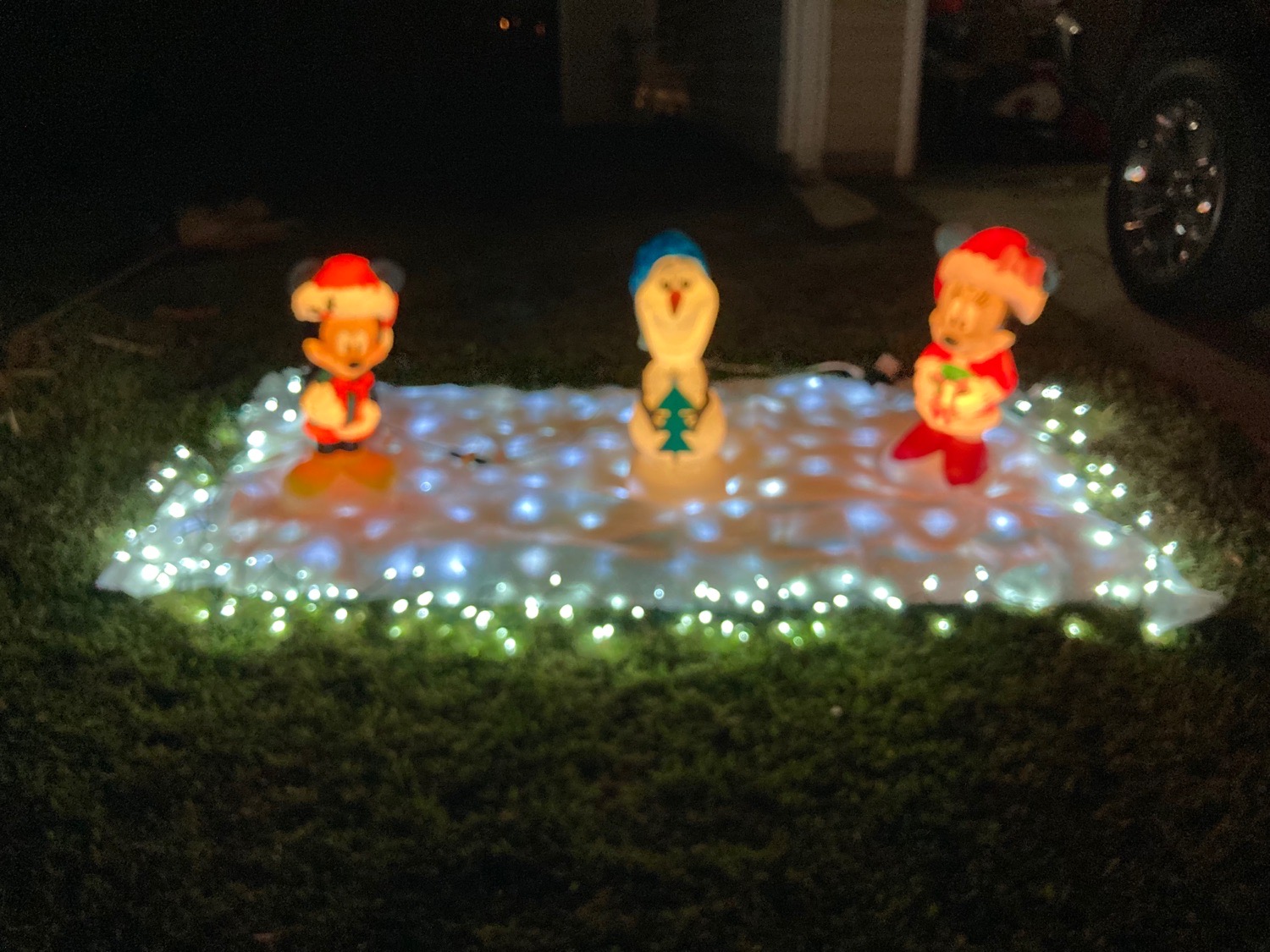 Wonderland of Temuco Ln. Holiday Light Show, Christmas lights in Summerville, SC (photo 3)