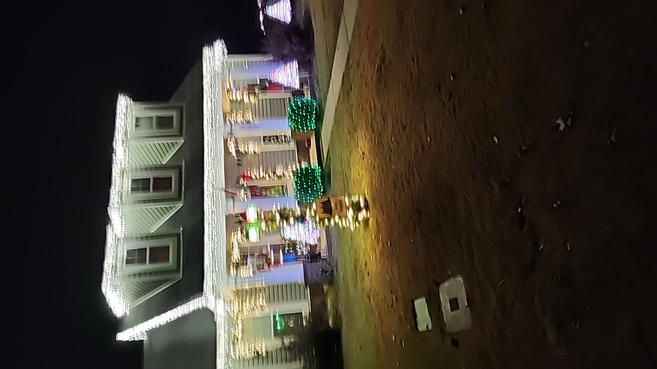 New Neighbor, Christmas lights in Warner Robins, GA (photo 2)