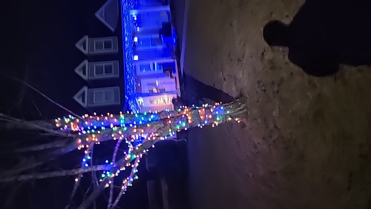 Baby Yoda, Christmas lights in Warner Robins, GA (photo 1)