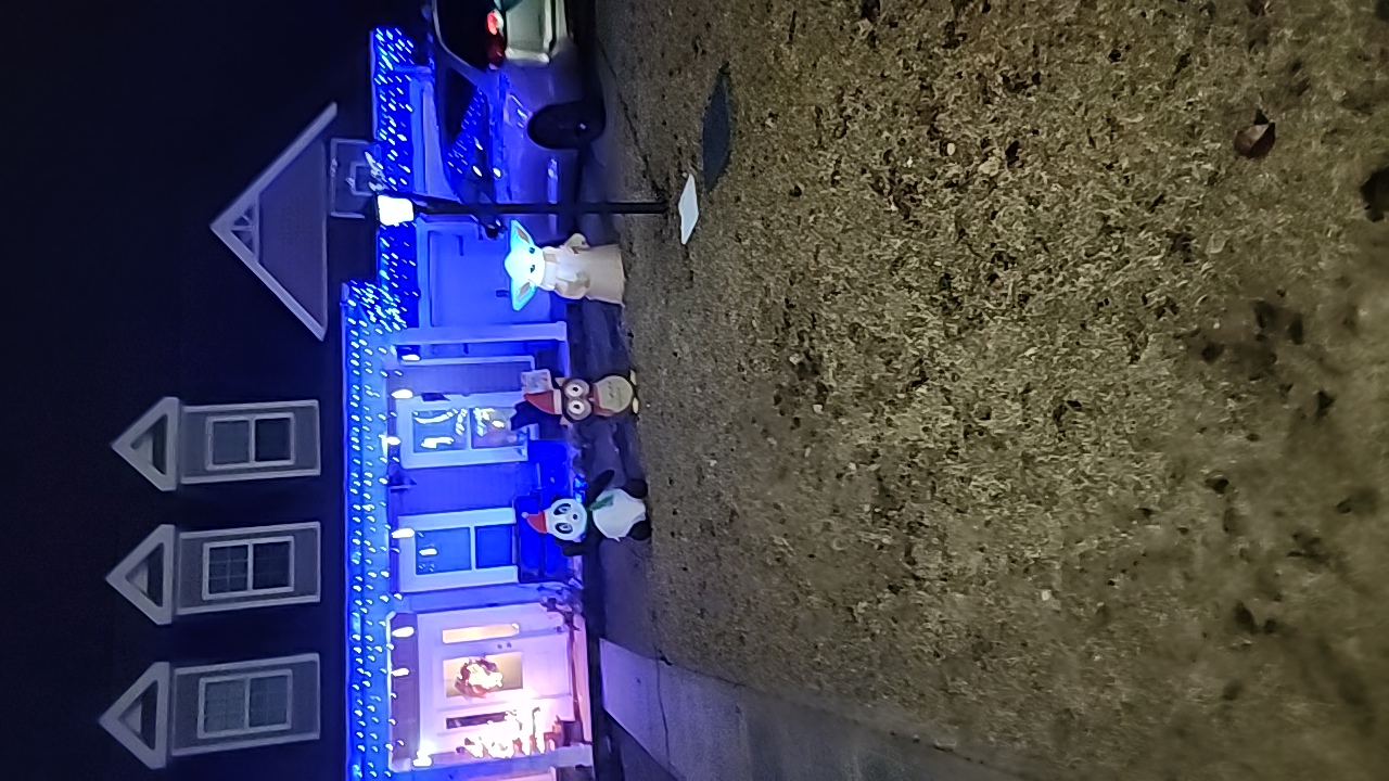 Baby Yoda, Christmas lights in Warner Robins, GA (photo 2)