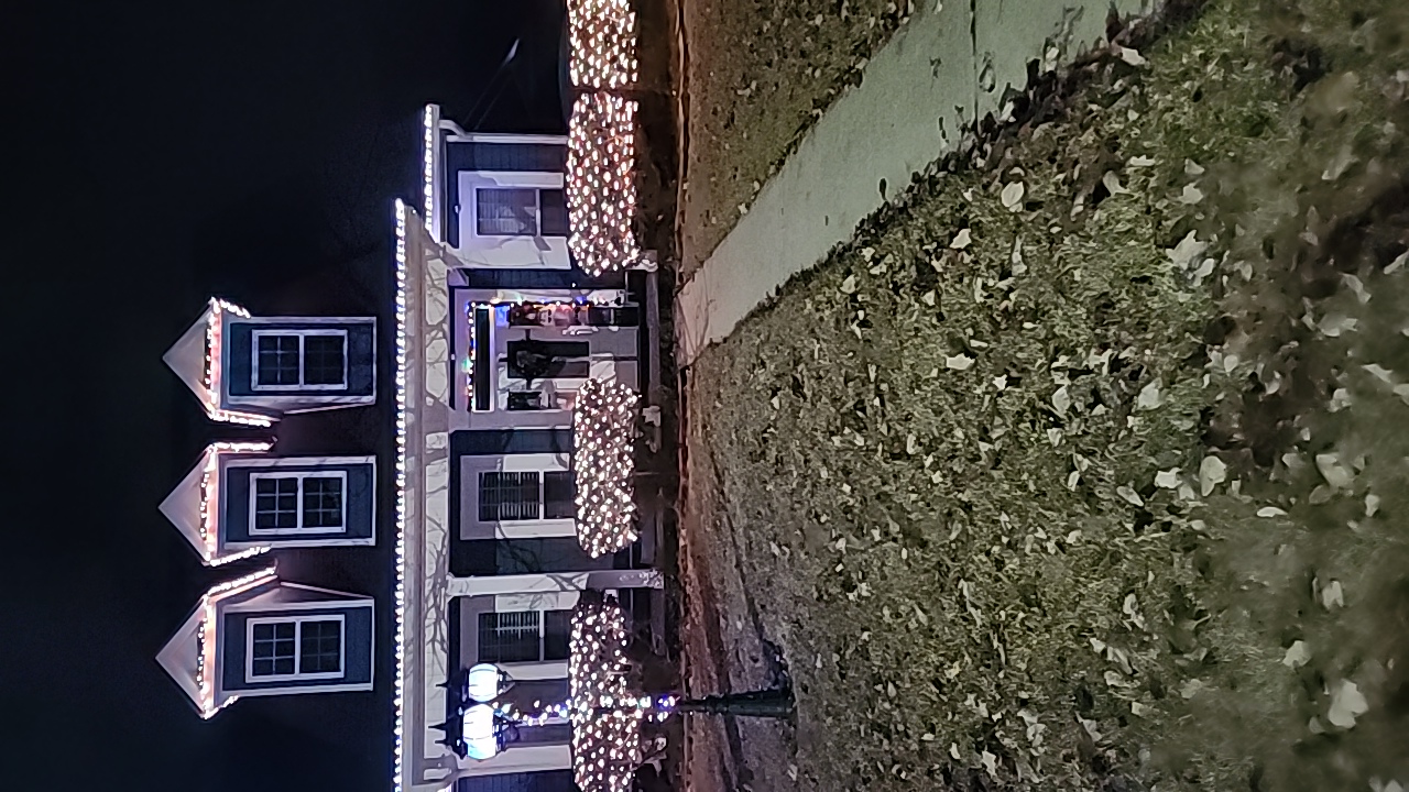 Christmas decorations, Christmas lights in Warner Robins, GA (photo 2)