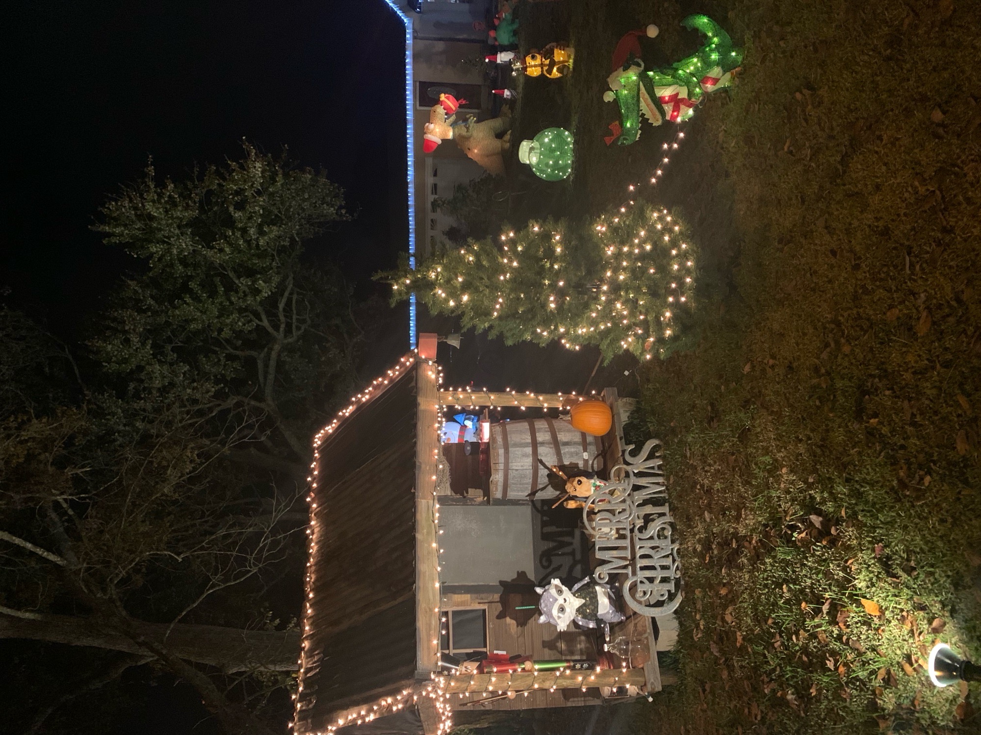 Christmas on Pear Drive, Christmas lights in Abbeville, LA (photo 4)