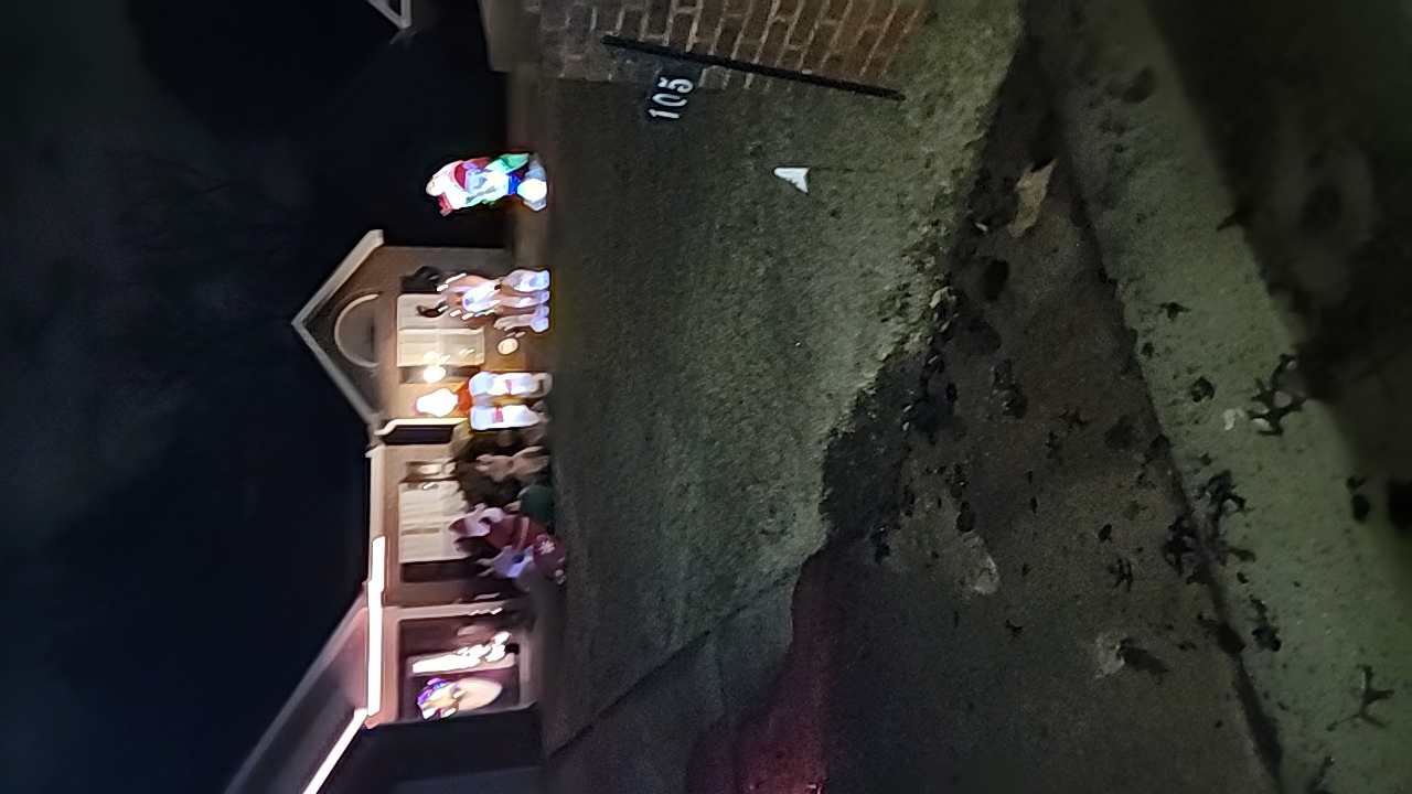 Christmas Inflatables, Christmas lights in Warner Robins, GA (photo 2)