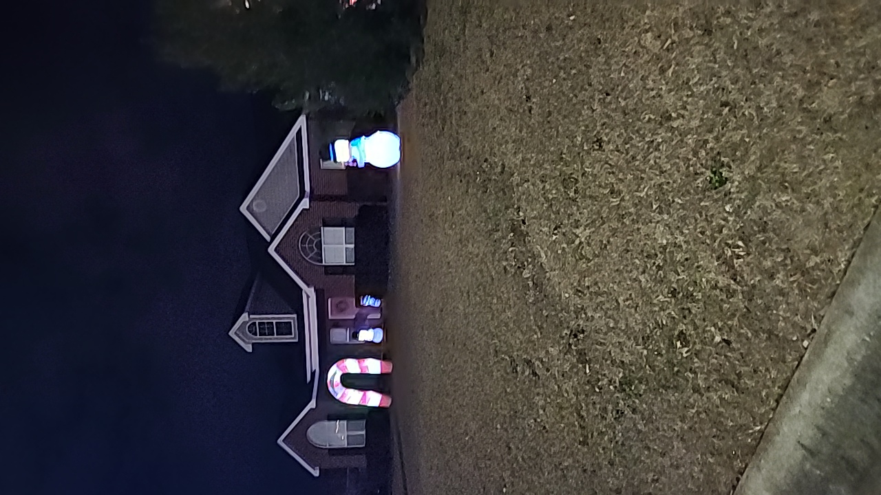 Chrstmas Inflatable, Christmas lights in Warner Robins, GA (photo 1)