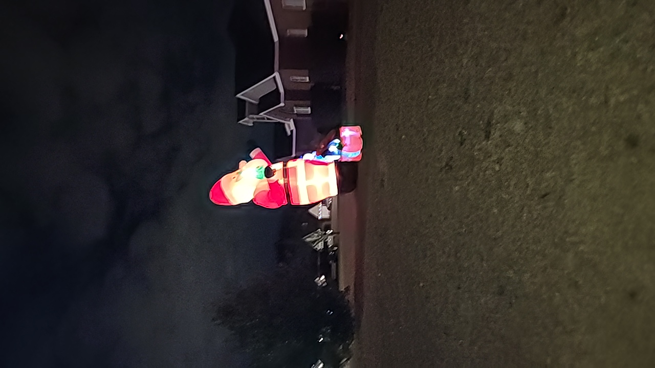Chrstmas Inflatable, Christmas lights in Warner Robins, GA (photo 2)