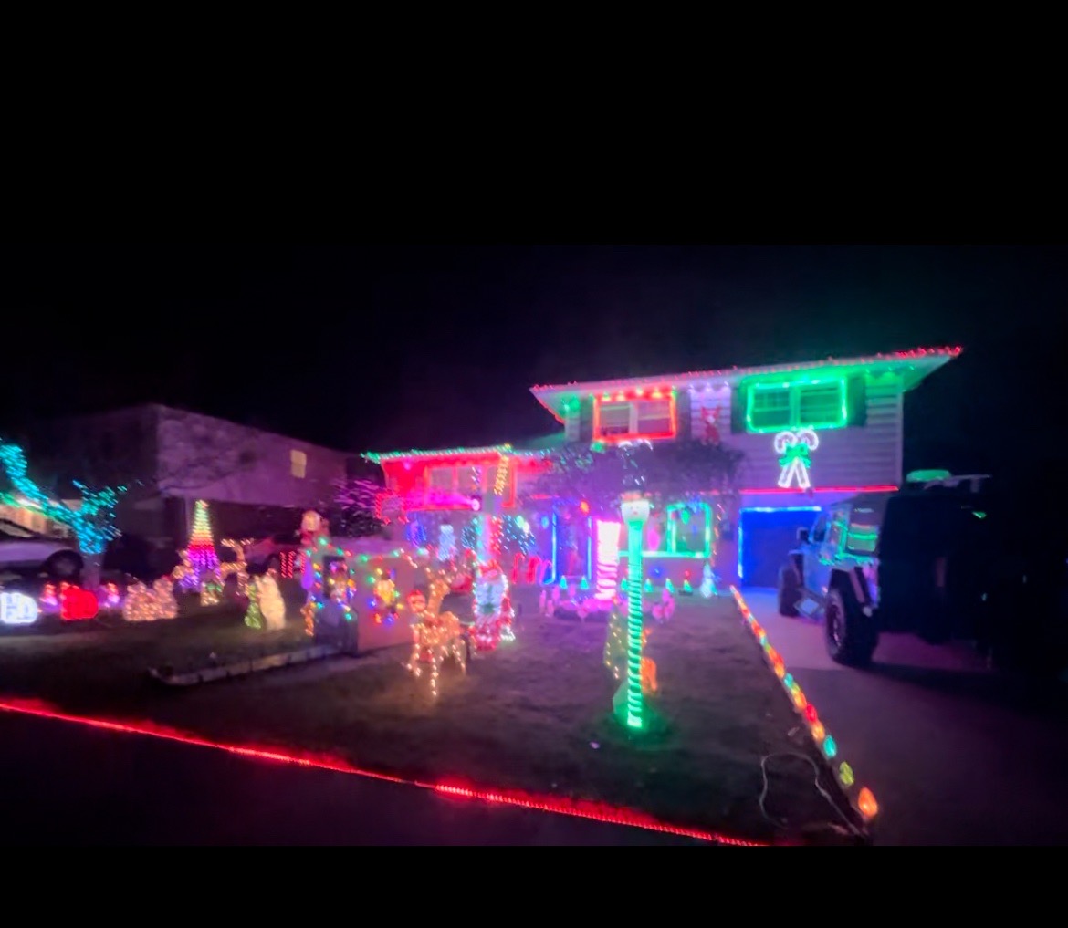 Winter wonderland in Delpark Manor, Christmas lights in Wilmington, DE (photo 1)