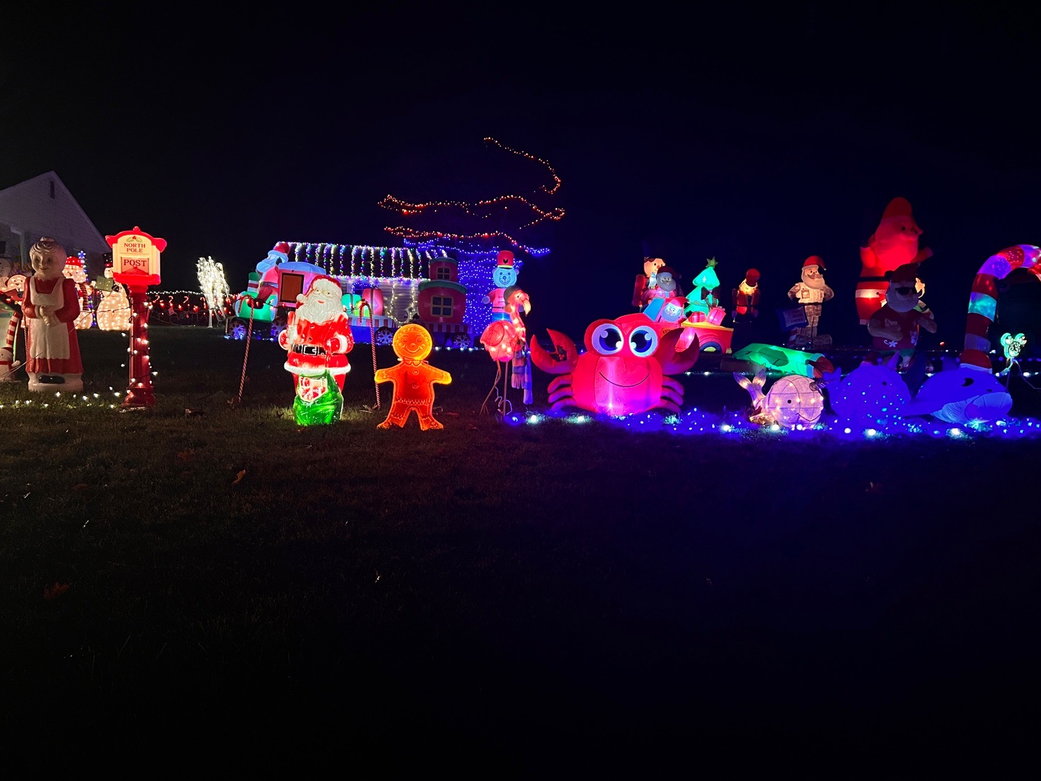 Listen to the Lights, Christmas lights in Carlisle, PA (photo 4)