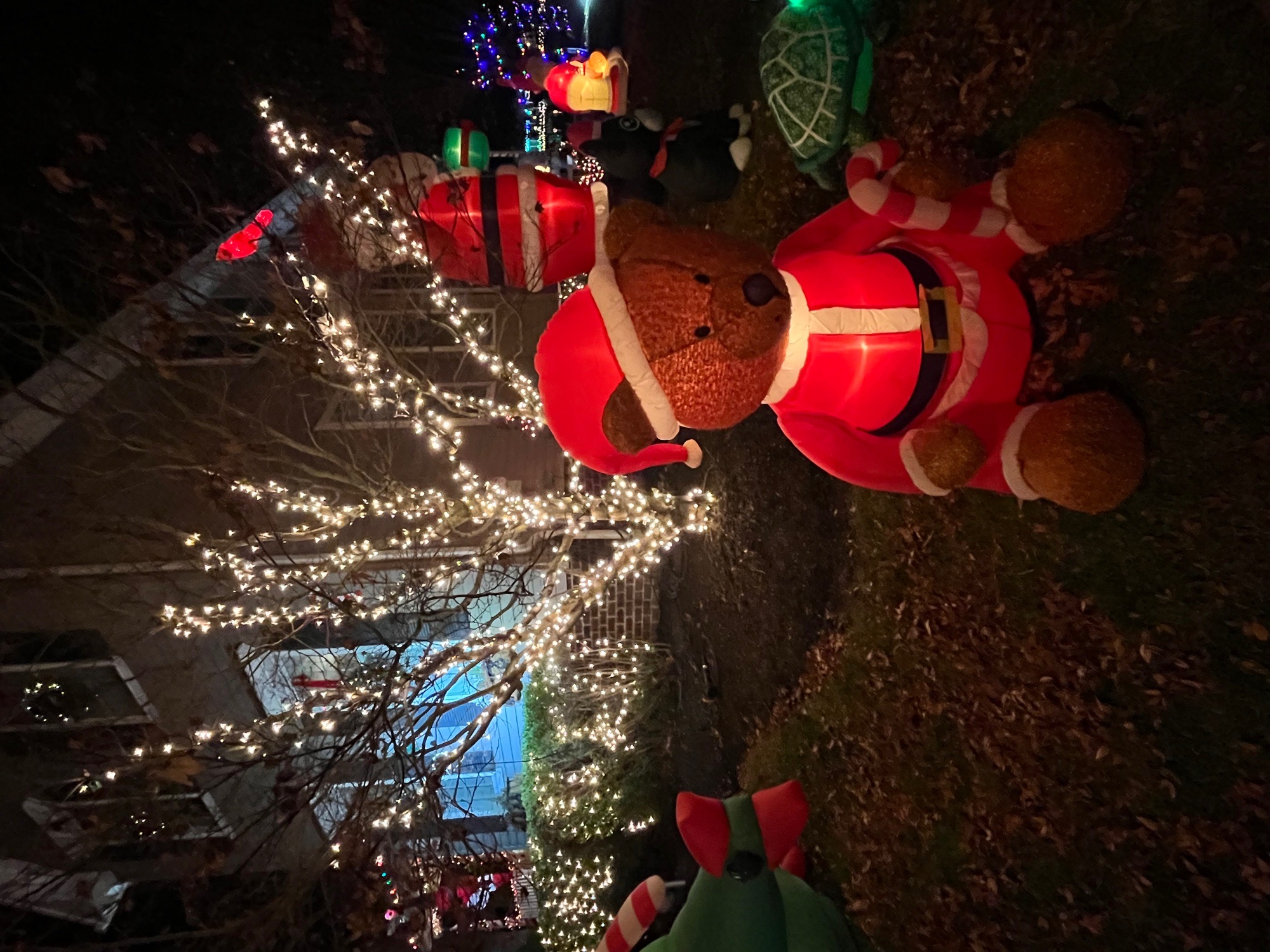 Winter Wonder Ivyland, Christmas lights in Ivyland, PA (photo 2)