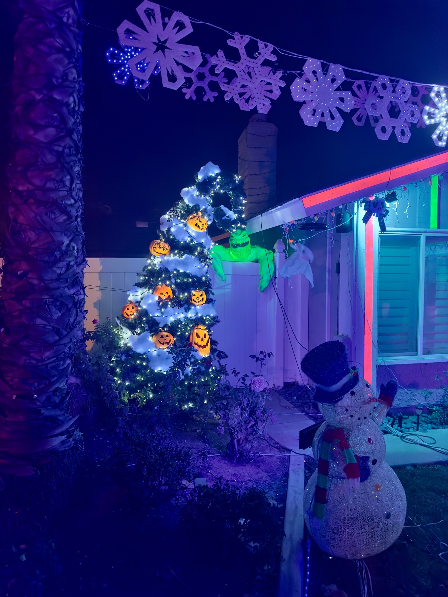 Nightmare Before Christmas, Christmas lights in Lake Forest, CA (photo 3)
