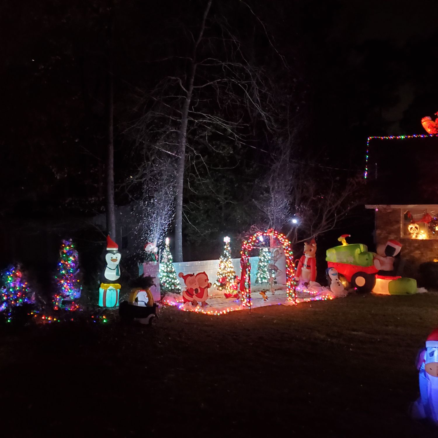 Snow much to see, Christmas lights in Warner Robins, GA (photo 1)