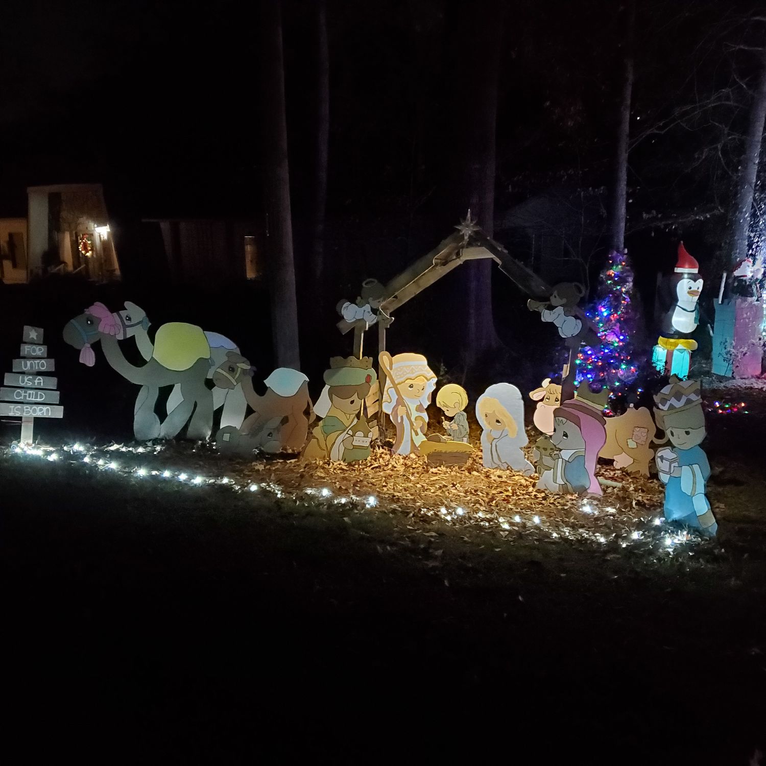 Snow much to see, Christmas lights in Warner Robins, GA (photo 3)