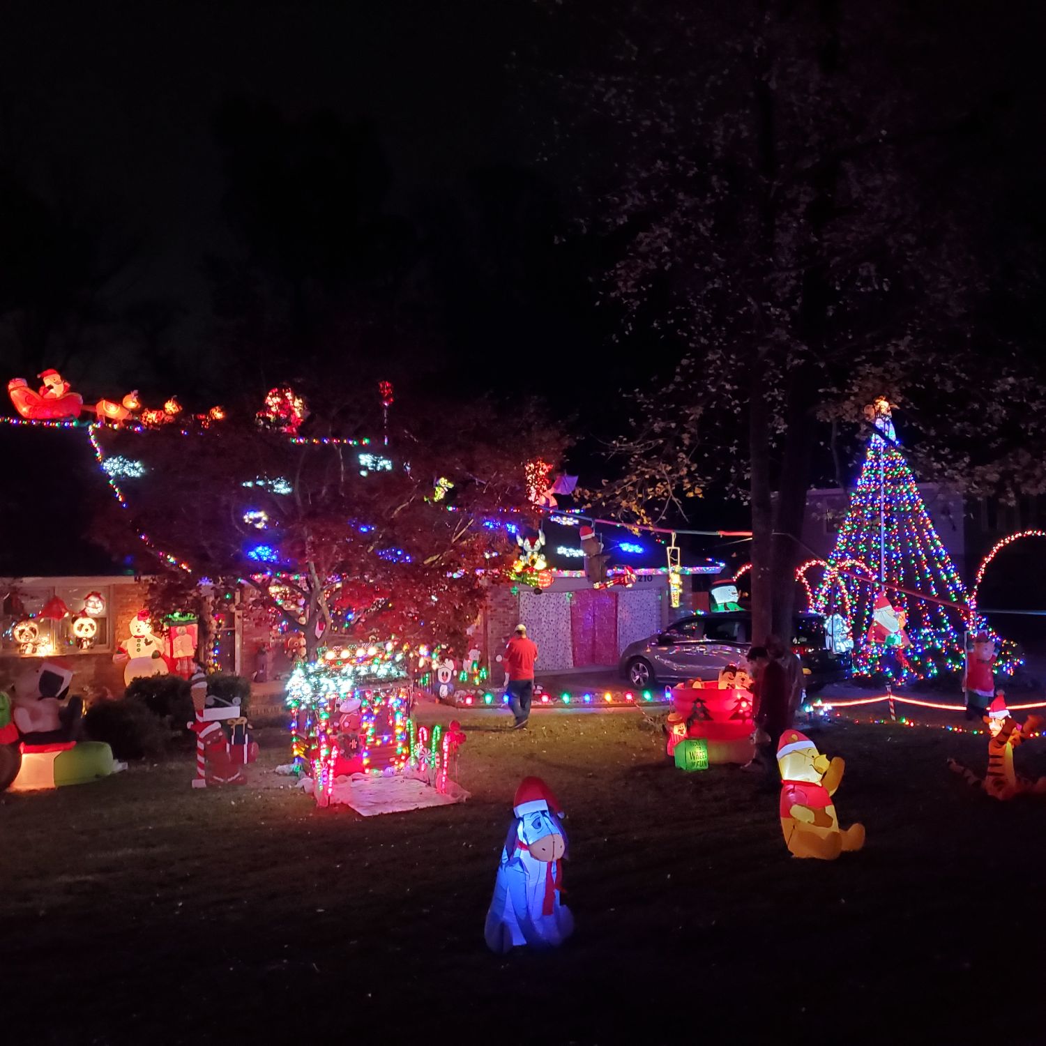 Snow much to see, Christmas lights in Warner Robins, GA (photo 4)