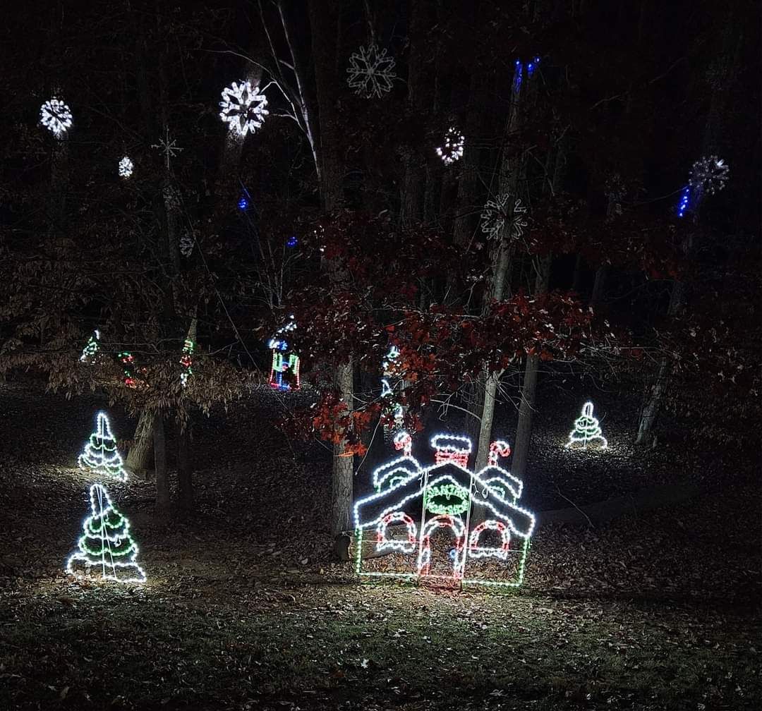The Christmas Family Lights, Christmas lights in Winston-Salem, NC (photo 2)