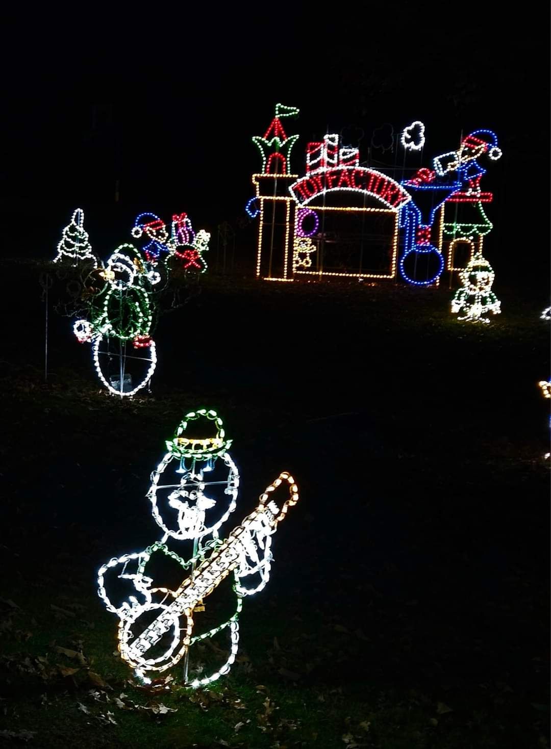 The Christmas Family Lights, Christmas lights in Winston-Salem, NC (photo 3)