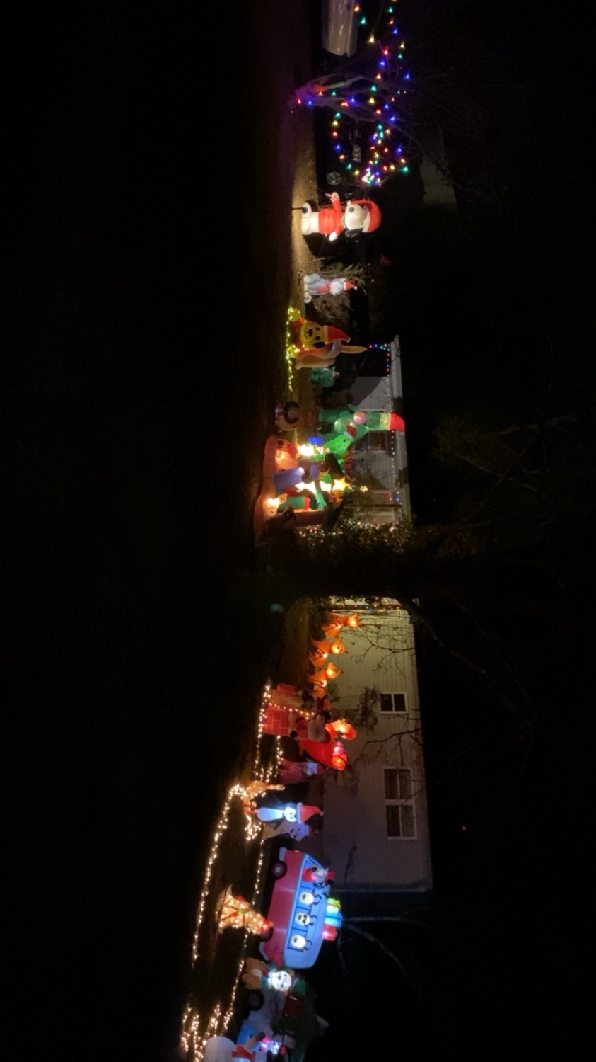 Lacey Christmas, Christmas lights in Knoxville, TN (photo 1)