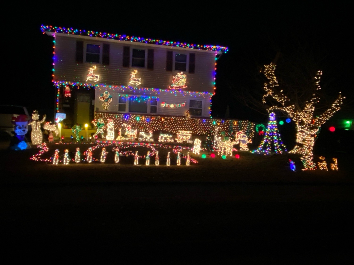 Todd Estates 2, Christmas lights in Newark, DE (photo 1)