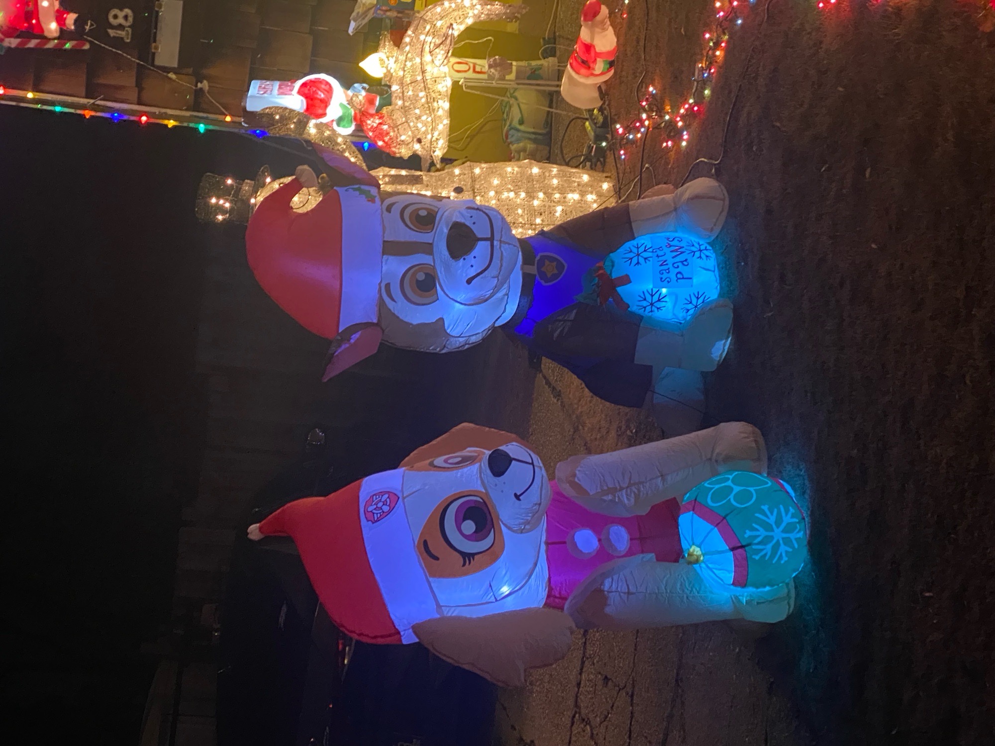 Todd Estates 2, Christmas lights in Newark, DE (photo 2)