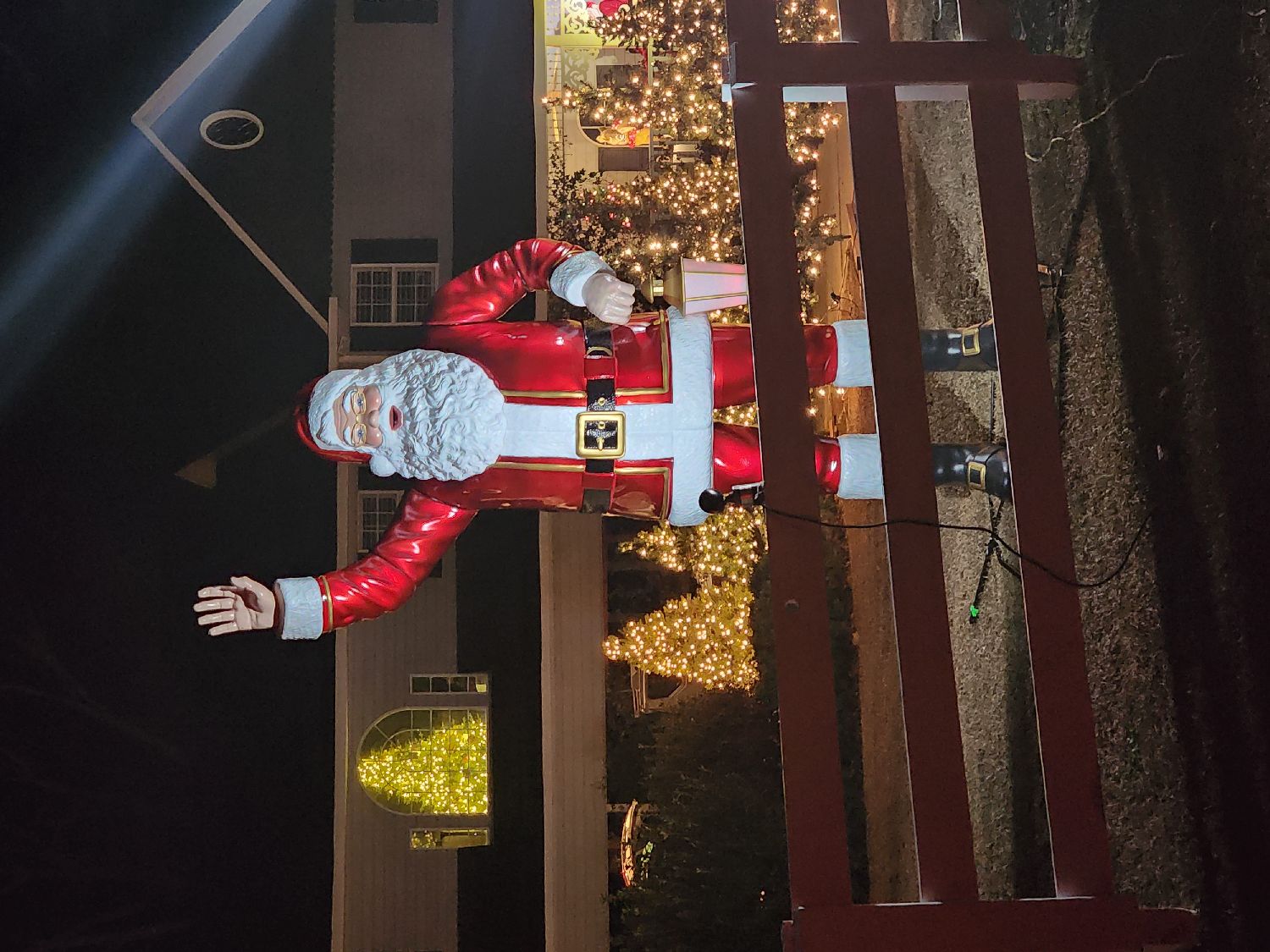 Empire of Light s, Christmas lights in Warner Robins, GA (photo 1)