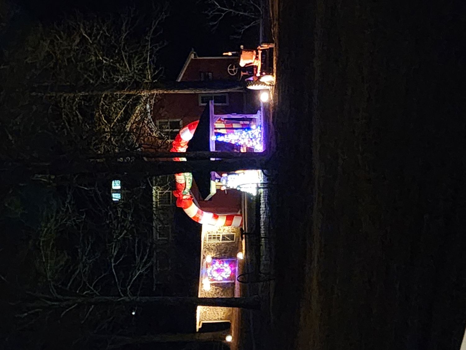 Empire of Light s, Christmas lights in Warner Robins, GA (photo 2)