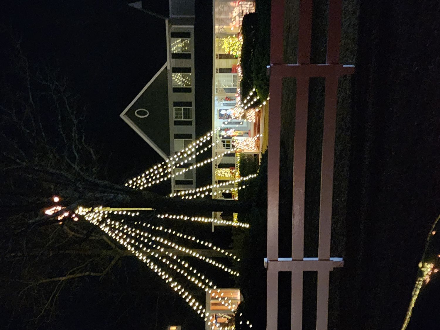 Empire of Light s, Christmas lights in Warner Robins, GA (photo 4)
