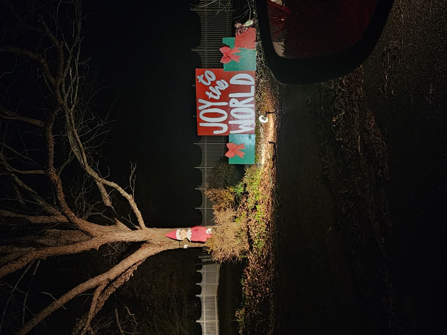 Joy to the world, Christmas lights in Warner Robins, GA (photo 2)