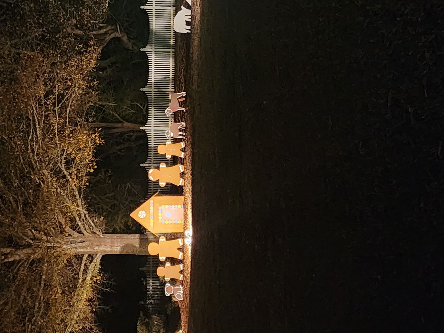 Joy to the world, Christmas lights in Warner Robins, GA (photo 3)