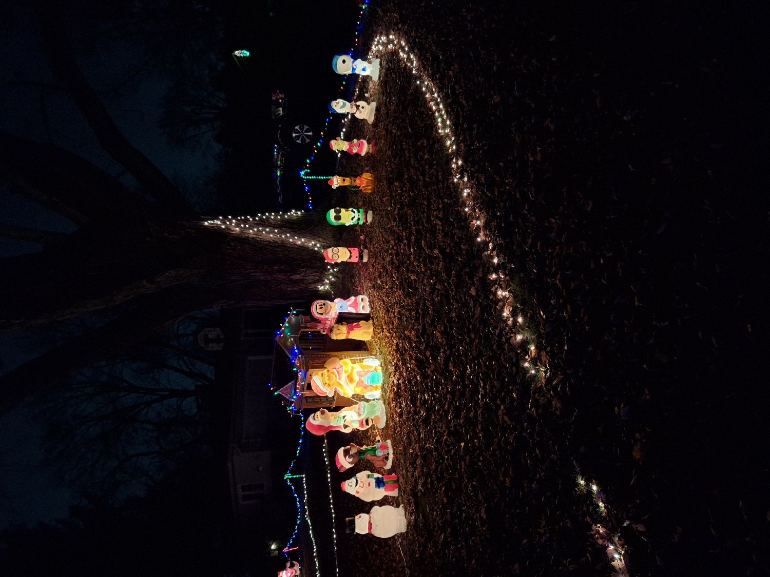 Balmars christmas, Christmas lights in Jackson, MI (photo 2)