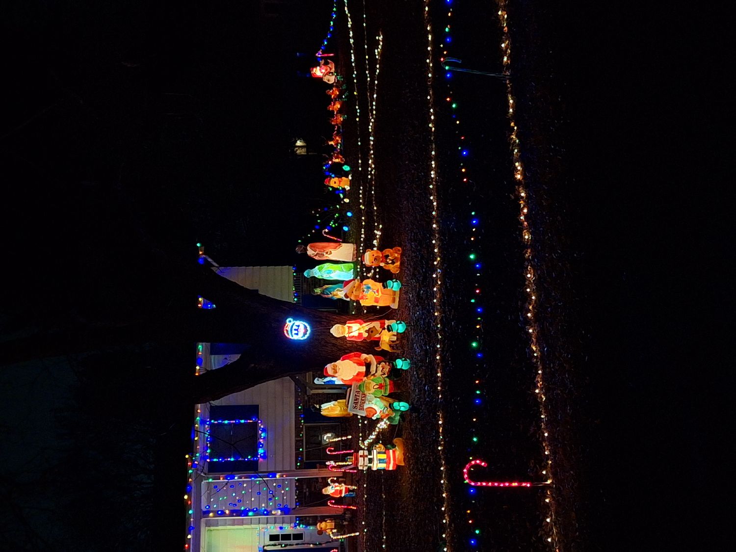 Balmars christmas, Christmas lights in Jackson, MI (photo 3)