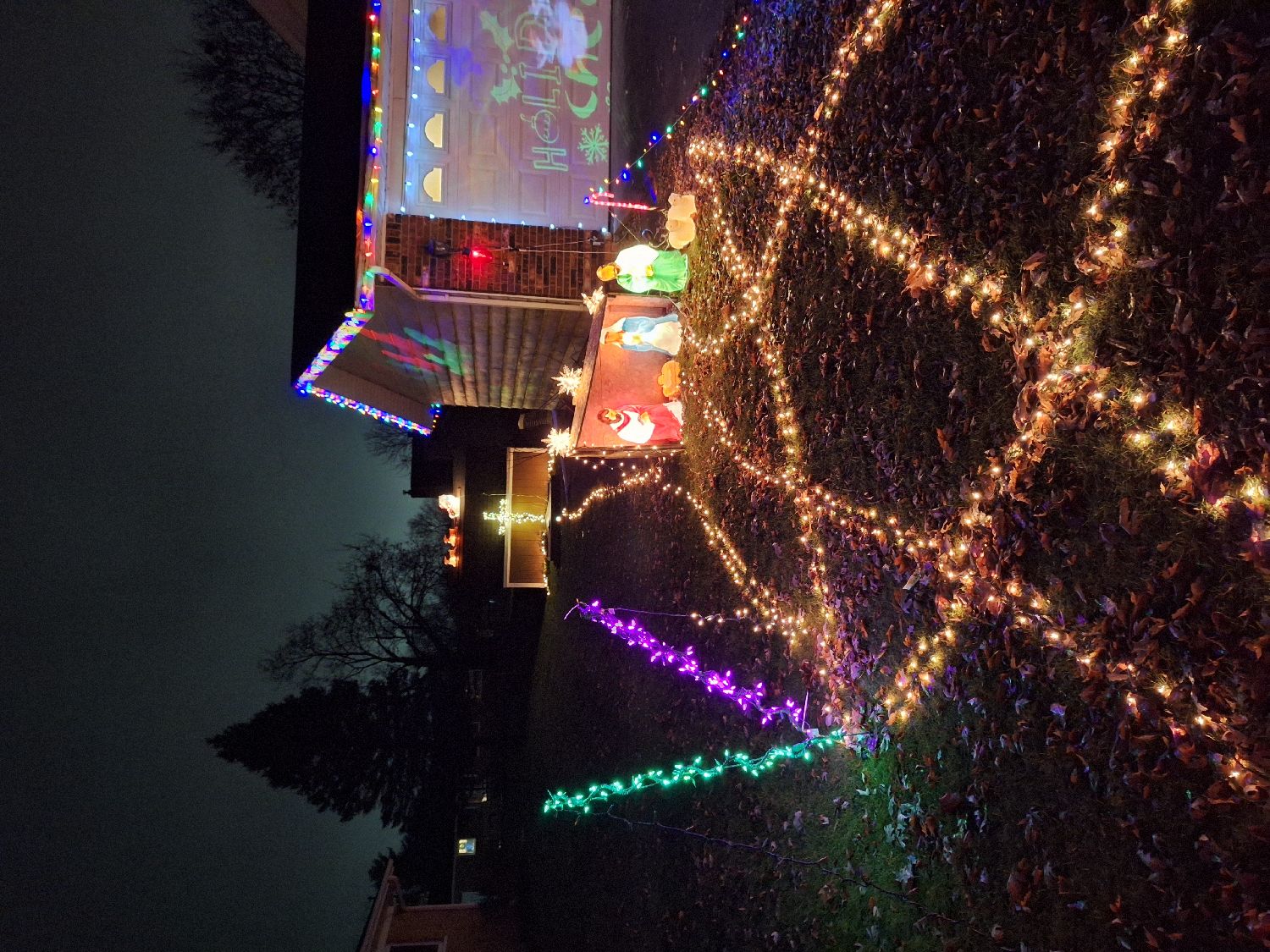 Balmars christmas, Christmas lights in Jackson, MI (photo 5)