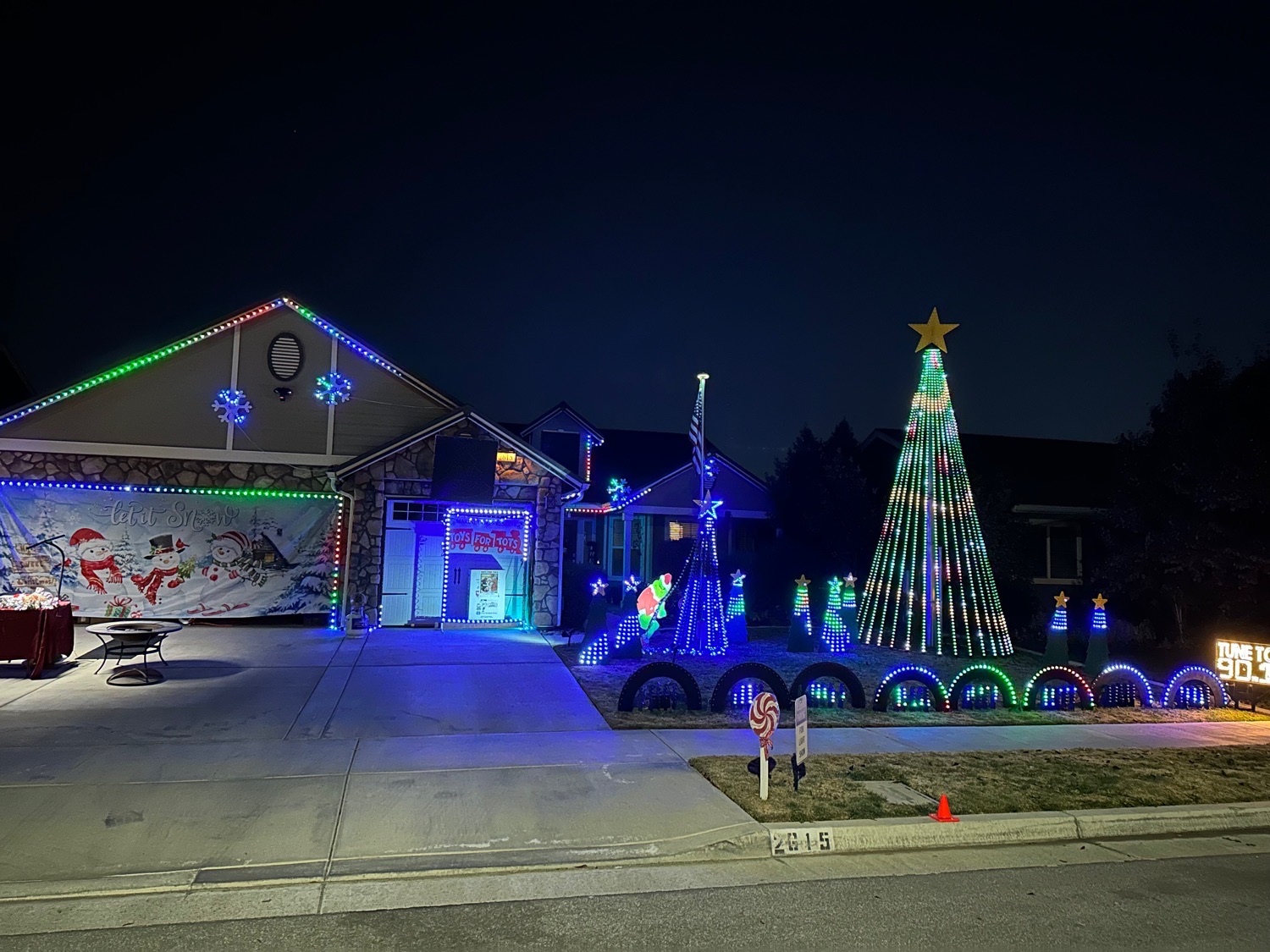 The Ramos Family Wild Lights, Christmas lights in Tulare, CA (photo 1)