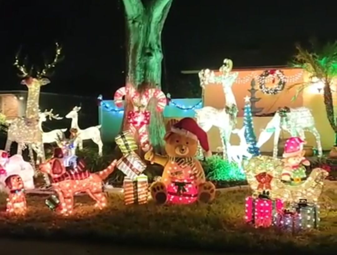 Winter Wonderland of Westlake Village, Christmas lights in Palm Harbor, FL (photo 1)