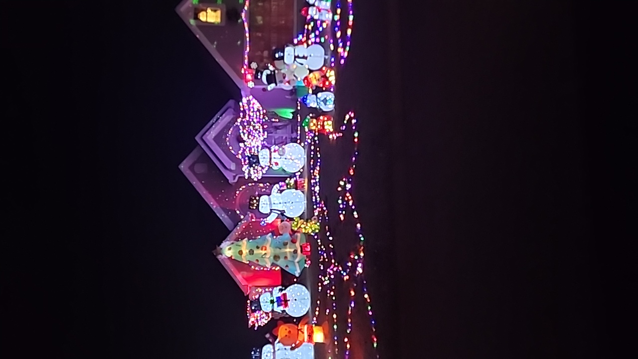 Snowmen land, Christmas lights in Bonaire, GA (photo 3)